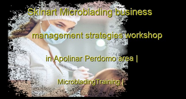 Skinart Microblading business management strategies workshop in Apolinar Perdomo area | MicrobladingTraining | MicrobladingClasses | SkinartTraining-Dominican Republic